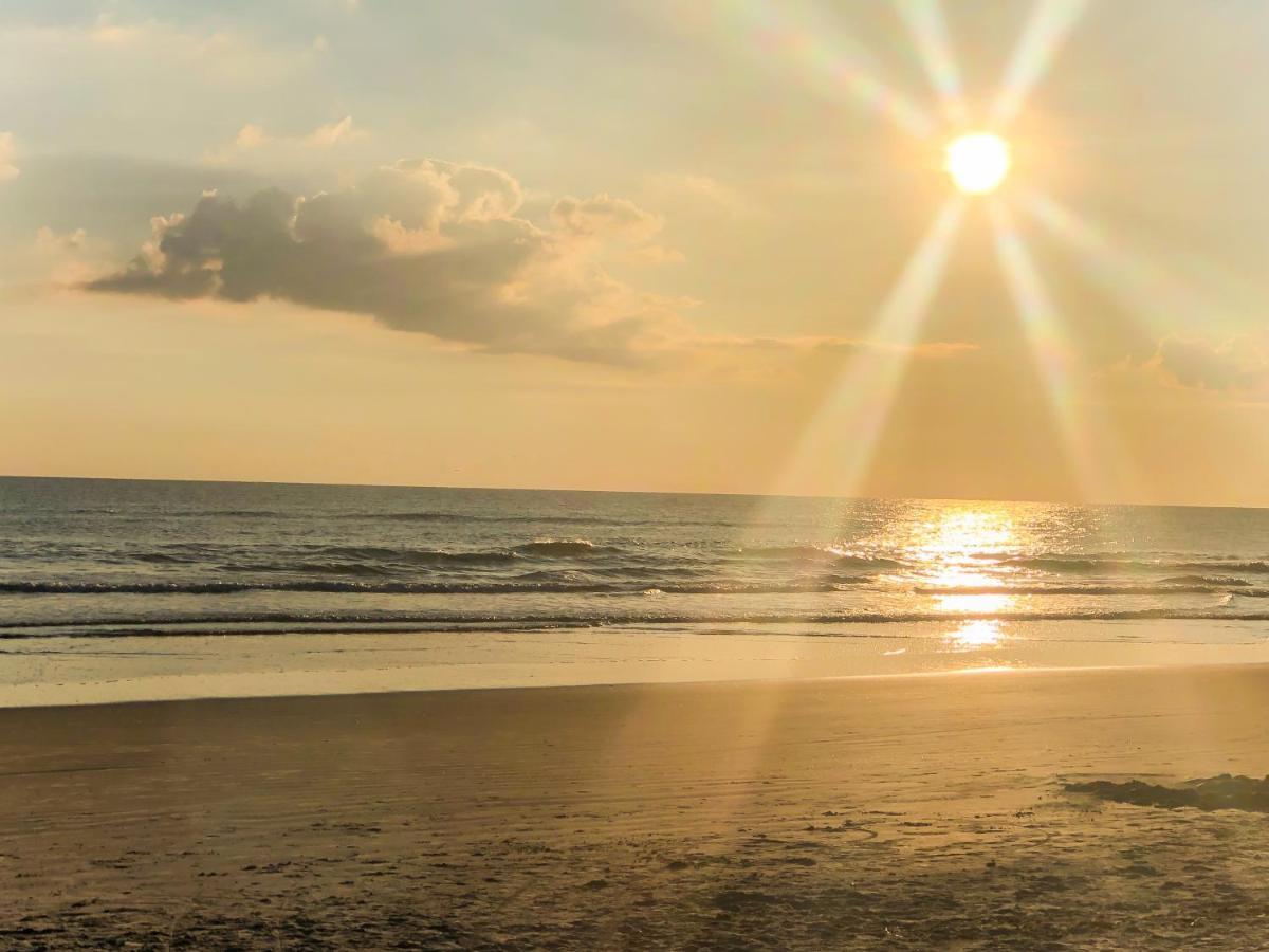 Sand Dollar Condominiums Daytona Beach Shores Zewnętrze zdjęcie