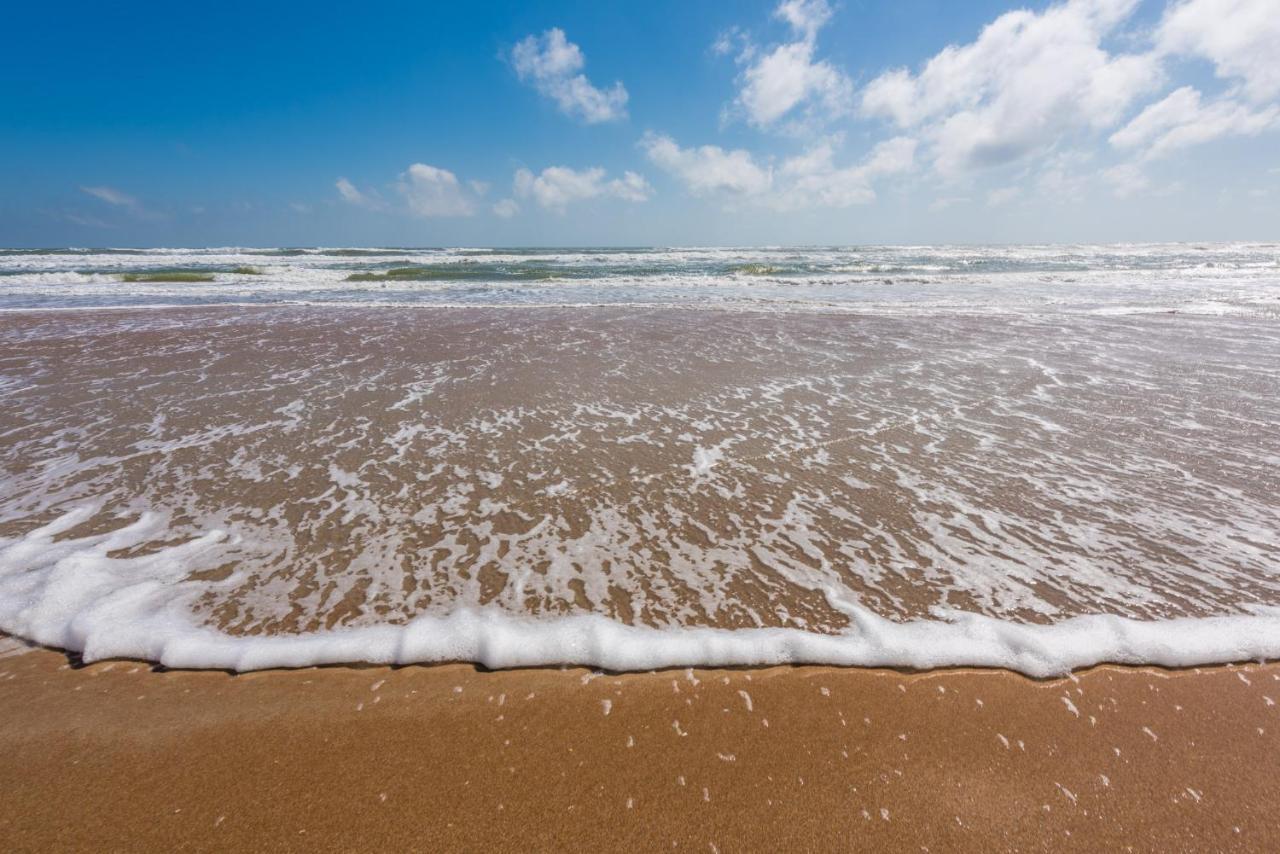 Sand Dollar Condominiums Daytona Beach Shores Zewnętrze zdjęcie